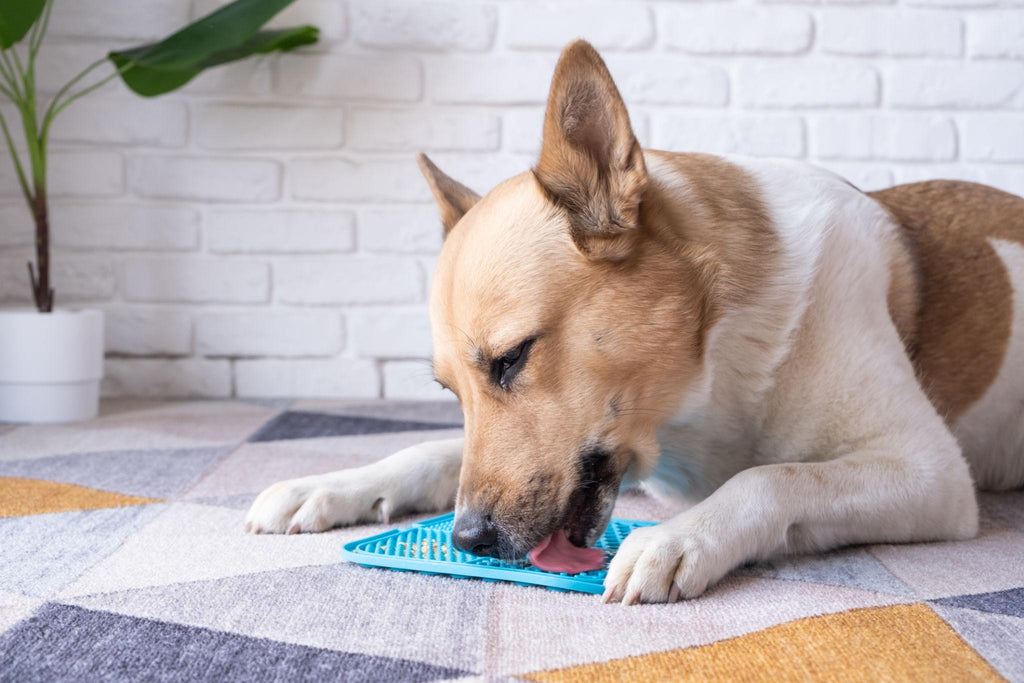 PawzMania Anxiety Licking Mat